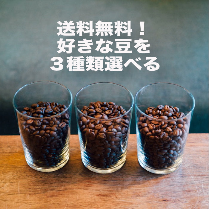 【送料無料】コーヒー豆 3種選べる スペシャルティコーヒー お試しセット